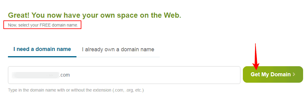 type the domain name